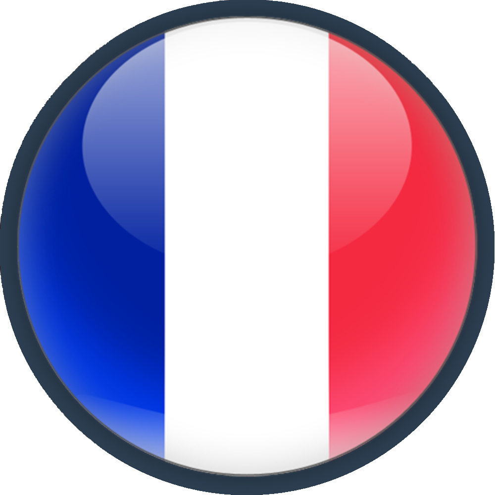 France Flag